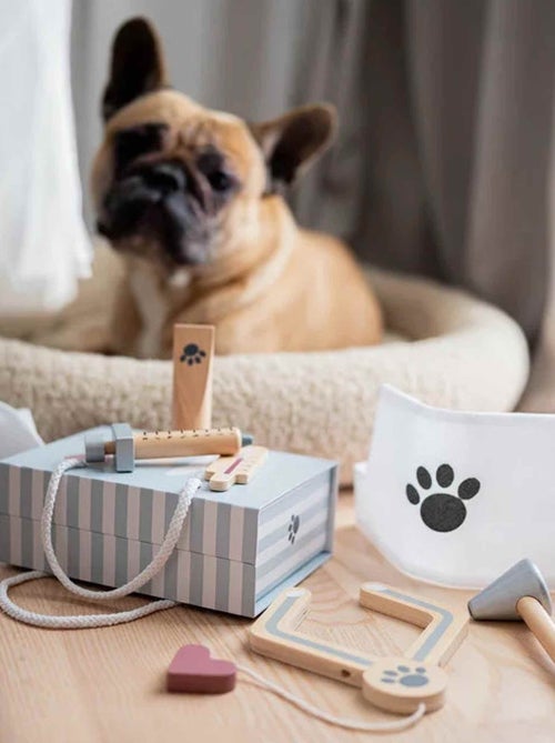 Houten speelgoed - dierenarts koffer - Kiabi