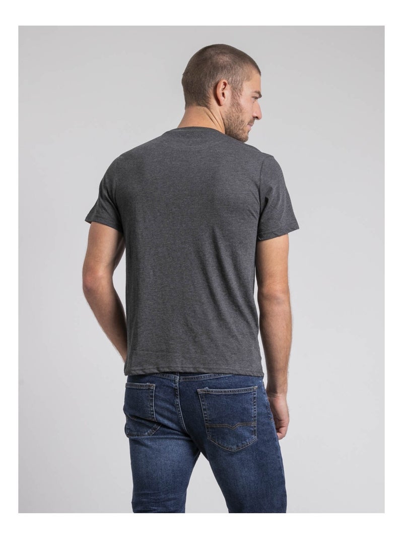 Jabustin t-shirt met ronde hals van puur katoen Grijs - Kiabi