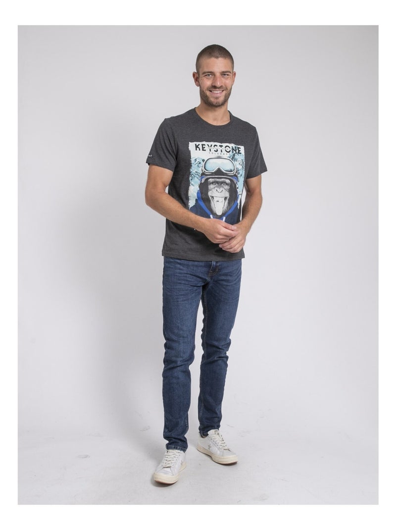 Jacoski t-shirt met ronde hals van puur katoen Donkergrijs - Kiabi