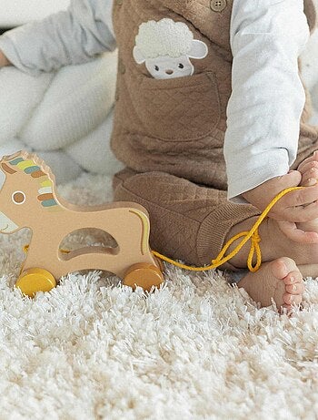 Jouet en bois bébé à tirer