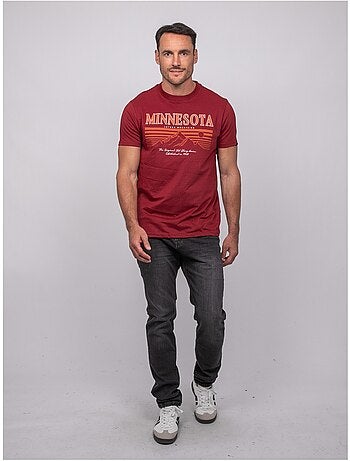 Katoenen t-shirt met korte mouwen en bergprint jampago