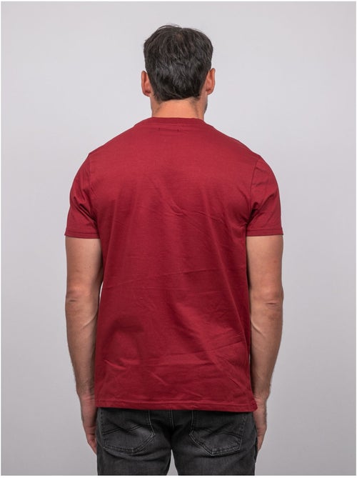 Katoenen t-shirt met korte mouwen en bergprint jampago - Kiabi Katoenen t-shirt met korte mouwen en bergprint jampago - Kiabi