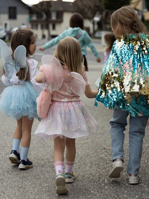 Kinderkostuum fee, rok, vleugels en toverstaf - Kiabi