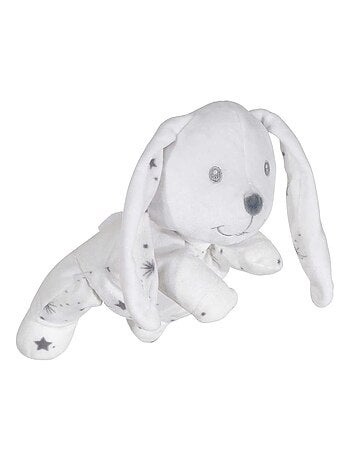 Kleine konijnenknuffel
