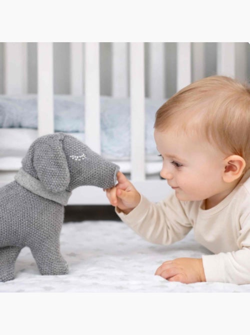 Knuffel hond teckel van biologisch katoen - Kiabi