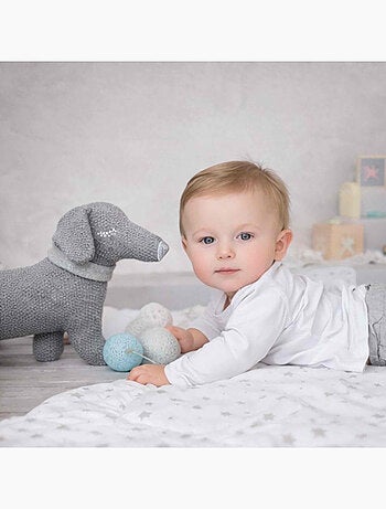 Knuffel hond teckel van biologisch katoen | sevira kids
