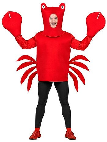 Krabkostuum met masker
