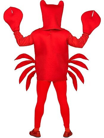 Krabkostuum met masker