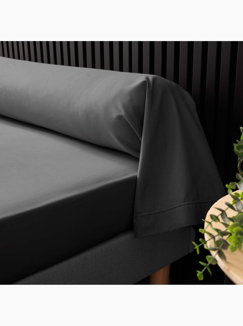 Kussenslopen voor langwerpige kussens van katoenen perkal percale douceur d'intérieur Antracietgrijs - Kiabi