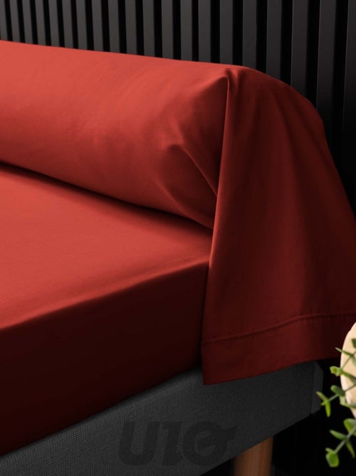 Kussenslopen voor langwerpige kussens van katoenen perkal percale douceur d'intérieur - Kiabi Kussenslopen voor langwerpige kussens van katoenen perkal percale douceur d'intérieur - Kiabi