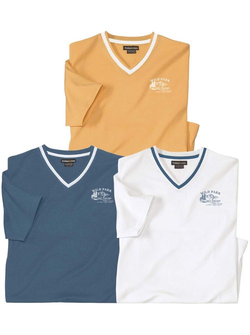 Le Lot de 3 Tee-shirts Col V  - ATLAS FOR MEN - Kiabi