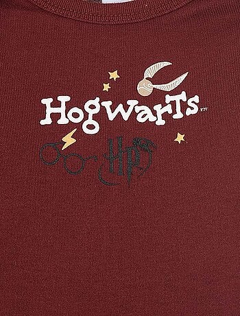 Lot de 2 bodys 'Harry Potter'