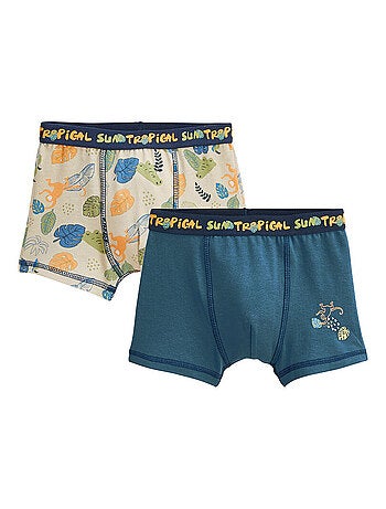 Lot de 2 boxers garçon Monkey