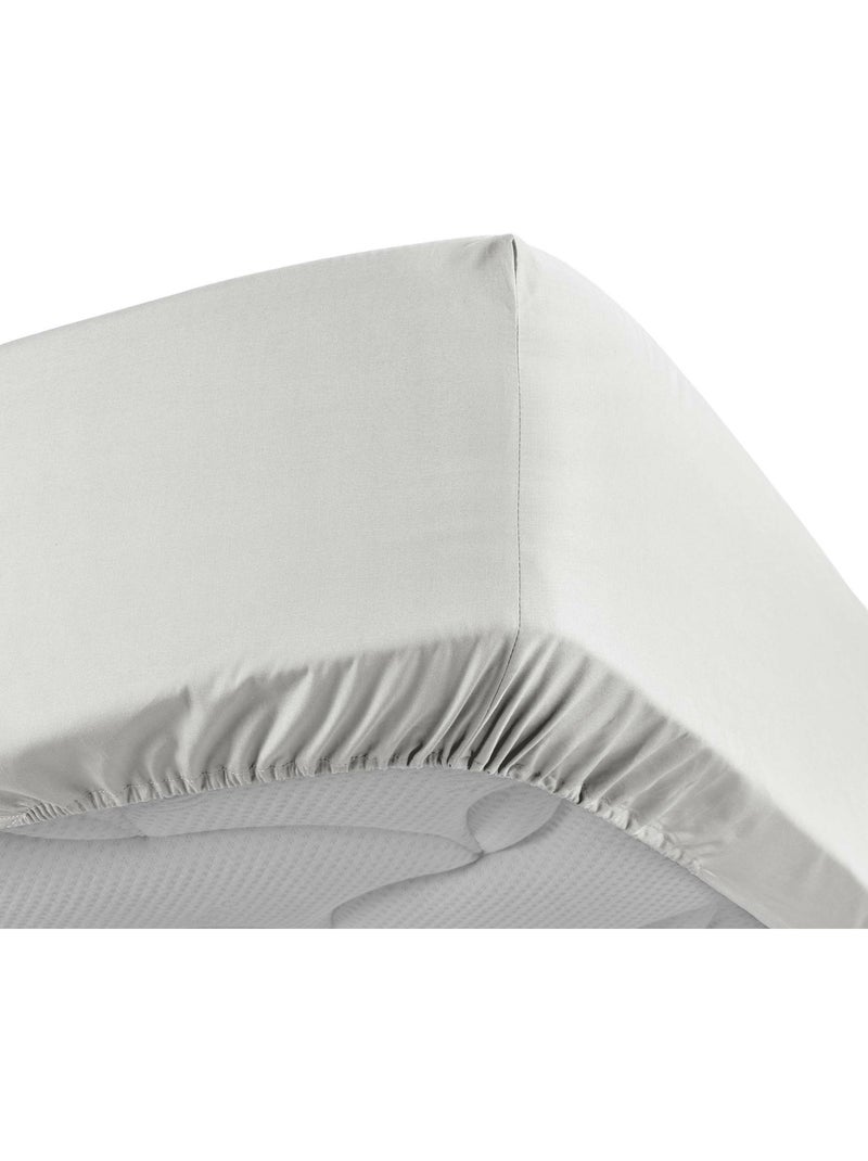 Lot de 2 drap housse percale de coton 78fils ultra doux Blanc - Kiabi