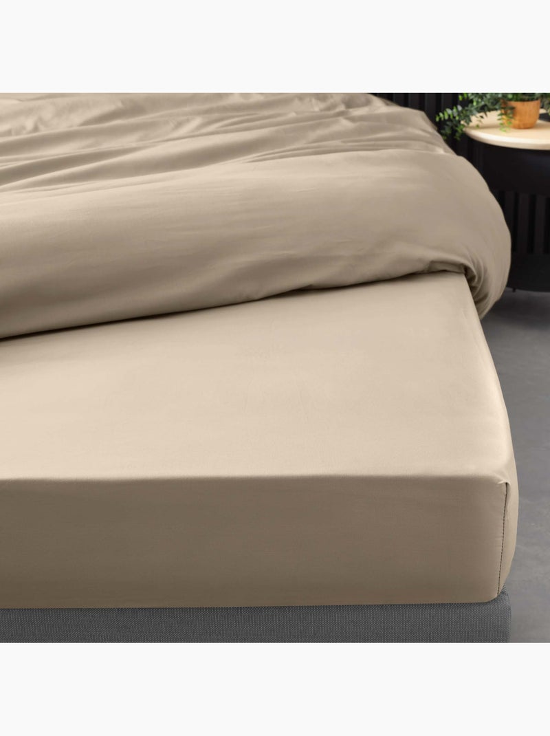 Lot de 2 drap housse percale de coton 78fils ultra doux Sable - Kiabi