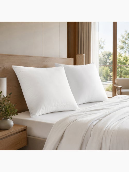 Lot de 2 oreillers douceur 60 x 60 cm – anti-acariens soft & care – blanrêve - Kiabi