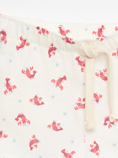 Lot de 2 shorts en jersey - Kiabi