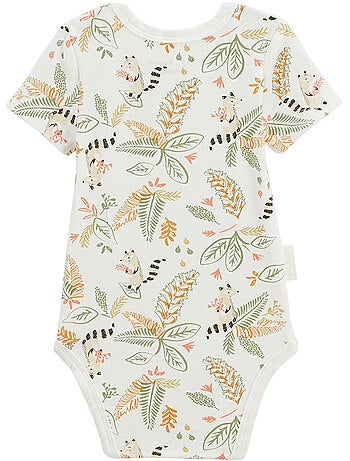 Lot de 3 bodies bébé manches courtes gabin
