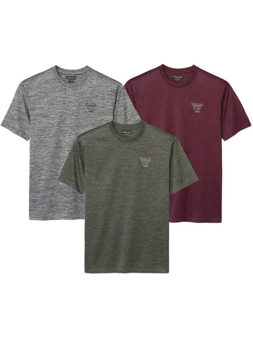 Lot de 3 tee-shirts flammé sport - atlas for men - Kiabi Lot de 3 tee-shirts flammé sport - atlas for men - Kiabi