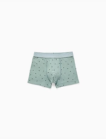 Lot de 4 boxers en coton avec imprimés dinosaures