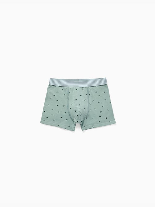 Lot de 4 boxers en coton avec imprimés dinosaures - Kiabi