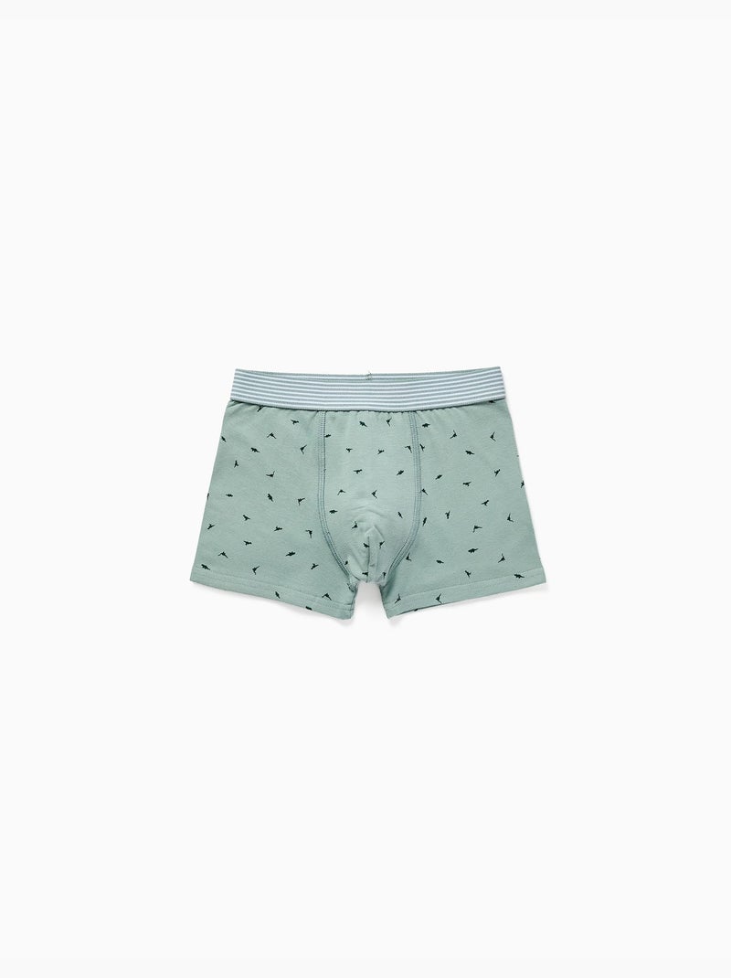 Lot de 4 boxers en coton avec imprimés dinosaures Gris Bleu - Kiabi