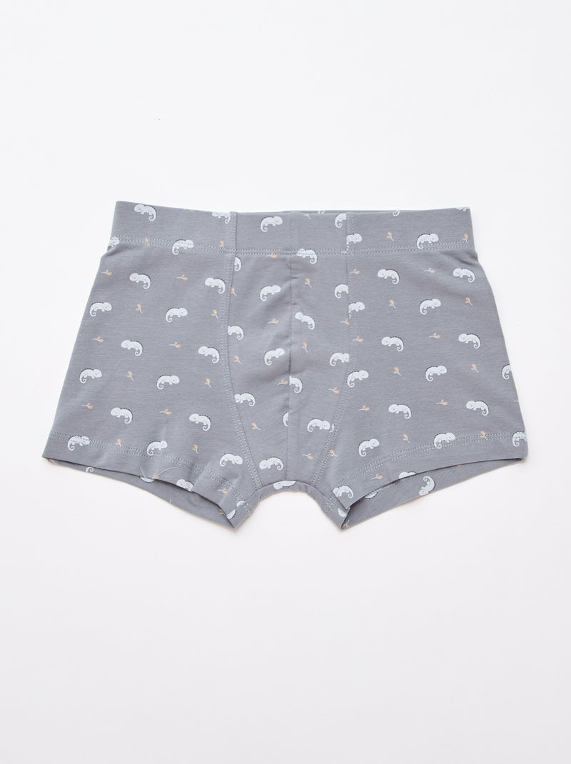 Lot de 5 boxers fantaisies Bleu - Kiabi