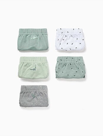 Lot de 5 slips en coton avec imprimés dinosaures