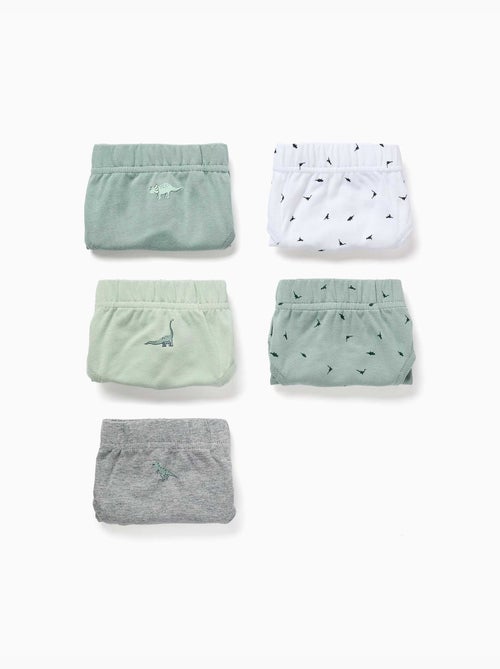 Lot de 5 slips en coton avec imprimés dinosaures - Kiabi