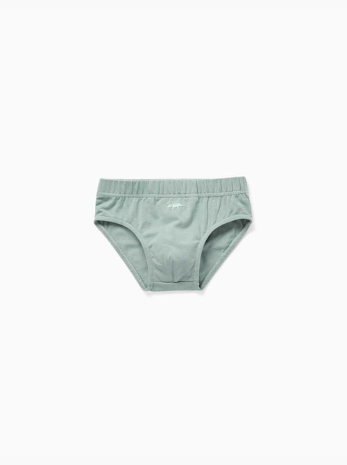 Lot de 5 slips en coton avec imprimés dinosaures - Kiabi