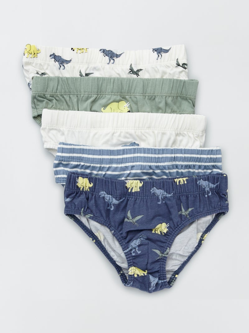 Lot de 5 slips en coton Bleu/vert/blanc - Kiabi