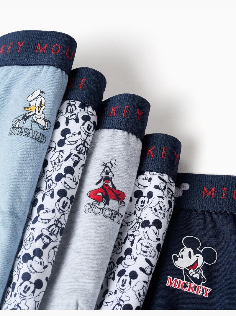 Lot de 5 slips en coton Mickey & Friends Bleu Gris - Kiabi