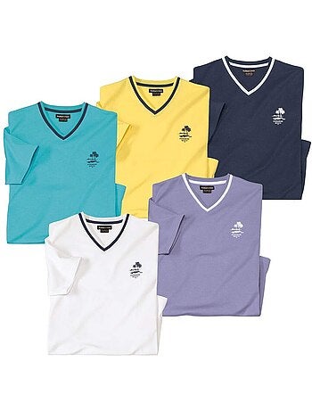 Lot de 5 tee-shirts unis col v - atlas for men