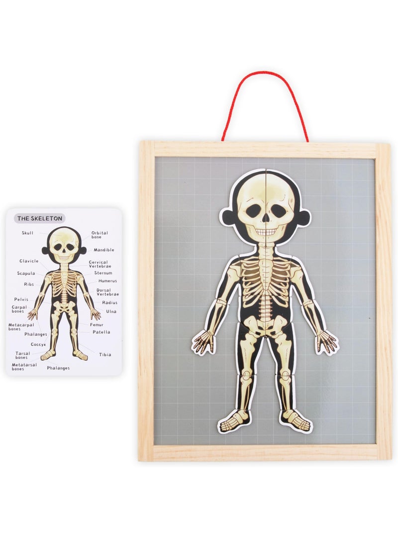 Magnetisch puzzel anatomie menselijk lichaam hout mamabrum N.v.t. - Kiabi