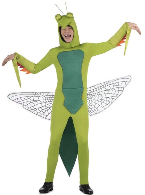 Mantis-kostuum met capuchon en vleugels - Kiabi