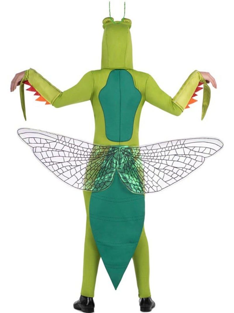 Mantis-kostuum met capuchon en vleugels Multicolor - Kiabi