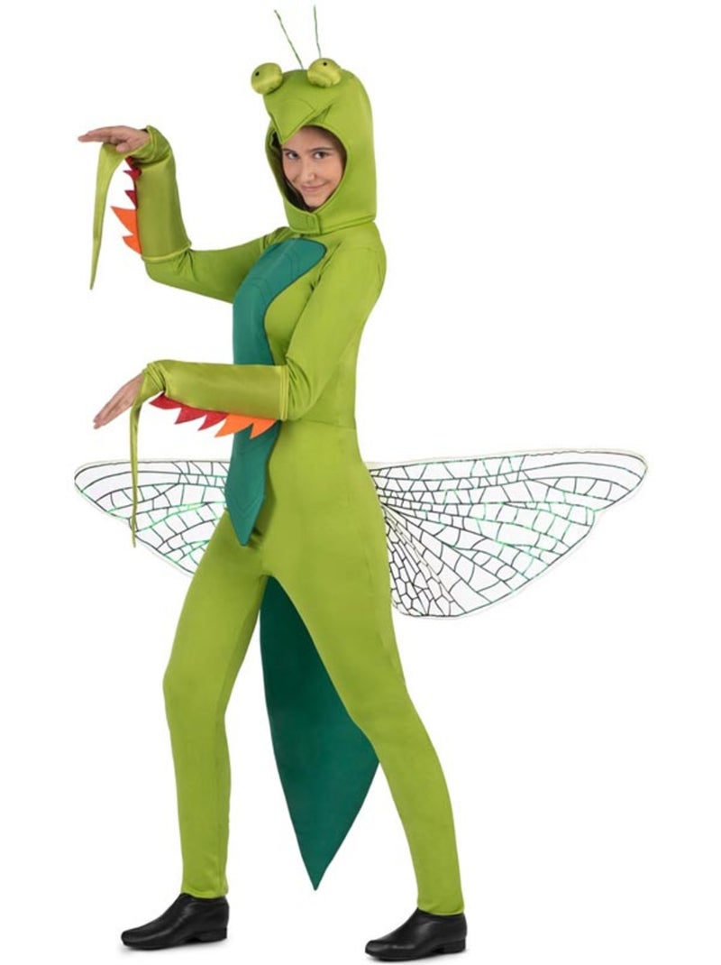 Mantis-kostuum met capuchon en vleugels Multicolor - Kiabi