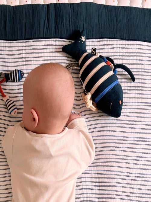 Mini-knuffelvisje van fluweel met muziek - Kiabi Mini-knuffelvisje van fluweel met muziek - Kiabi