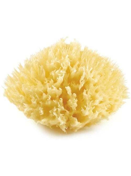 Natuurlijke zeespons honeycomb thermobaby - Kiabi