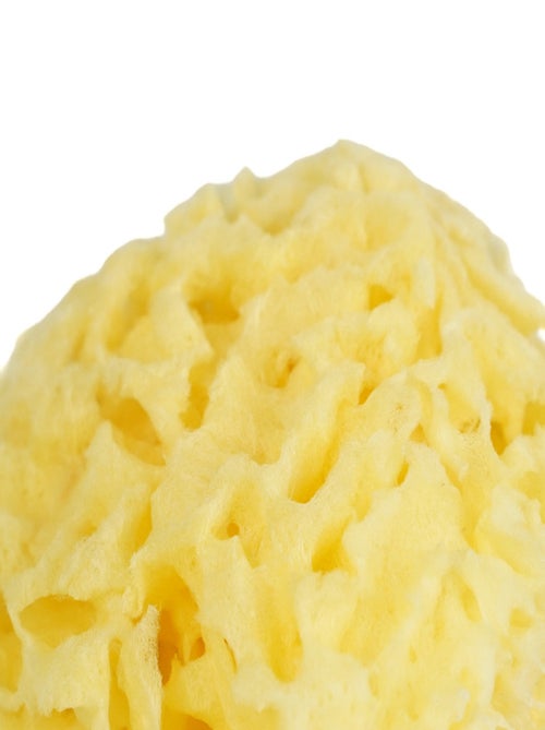 Natuurlijke zeespons honeycomb thermobaby - Kiabi