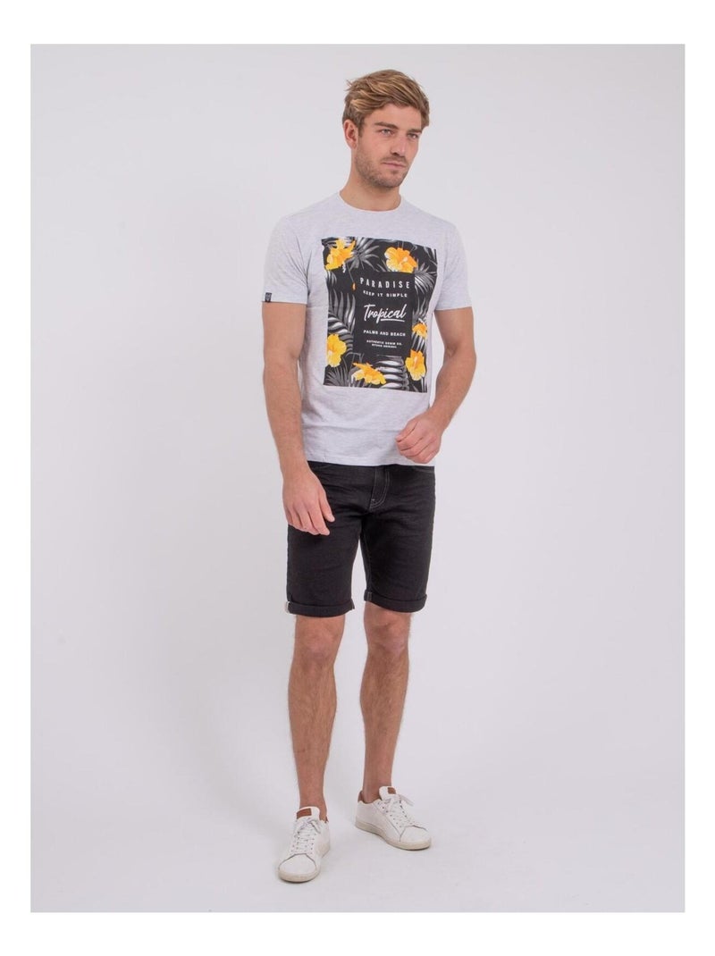 NOCTAVIO T-shirt met korte mouwen, ronde hals en gemaakt van puur katoen. Grijs - Kiabi