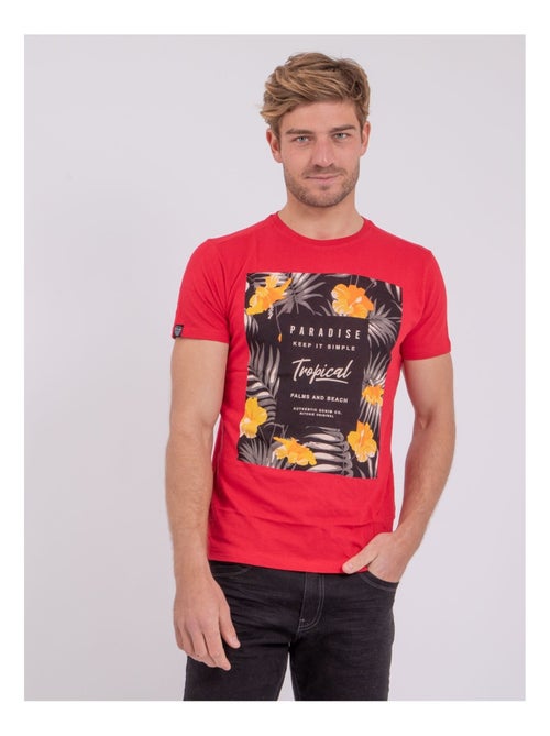 NOCTAVIO T-shirt met korte mouwen, ronde hals en gemaakt van puur katoen. - Kiabi