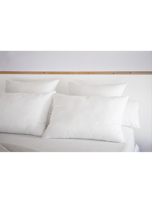 Oreiller 100% coton - anti acariens - sirius - Kiabi Oreiller 100% coton - anti acariens - sirius - Kiabi