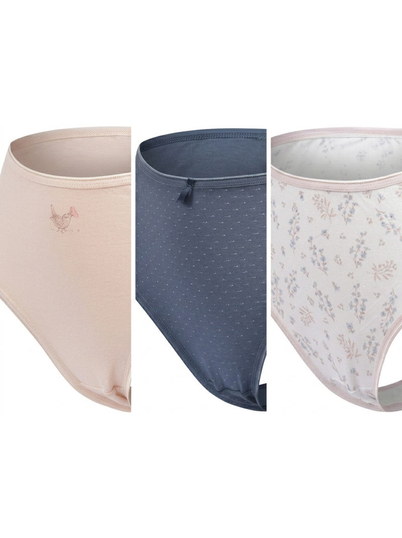 OZABI Pack de Culottes Femme Taille Haute Coton – Lot de 6 Bleu Ecru Blanc - Kiabi