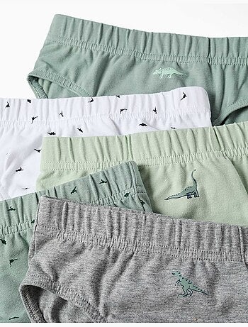 Pack van 5 katoenen slips met dinosaurussenprints