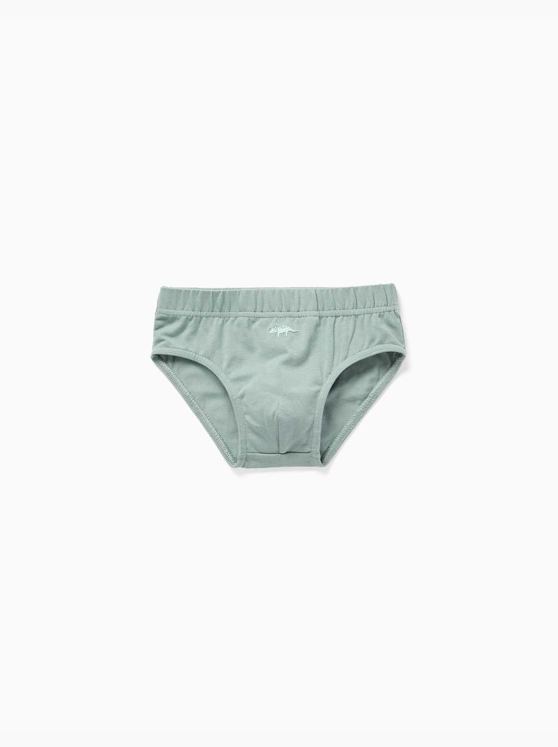 Pack van 5 katoenen slips met dinosaurussenprints Wit Groen - Kiabi