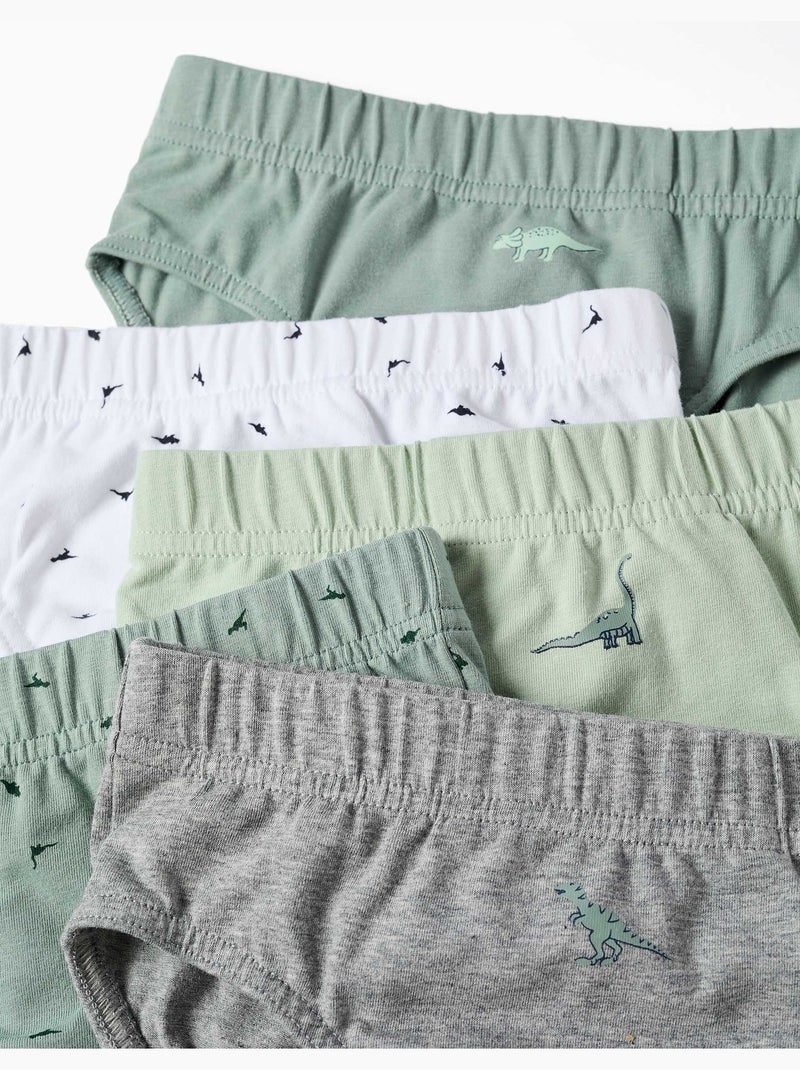 Pack van 5 katoenen slips met dinosaurussenprints Wit Groen - Kiabi
