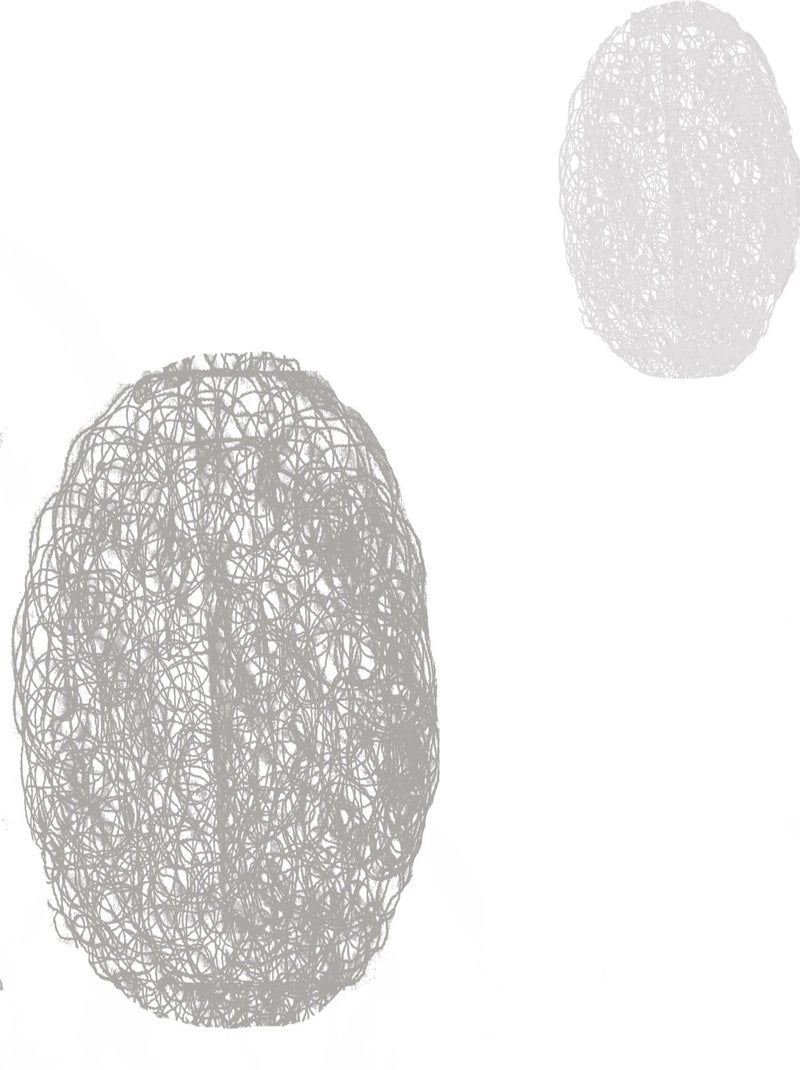 Paire de petits voilages blancs brodés ronds mêlés Blanc - Kiabi