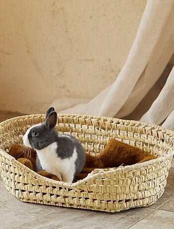 Panier osier pour petit chien