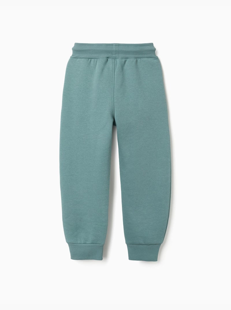 Pantalon de jogging ajusté en coton peigné avec imprimé Vert clair - Kiabi